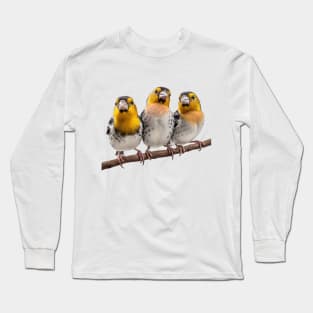 Three Finches on a Branch Long Sleeve T-Shirt